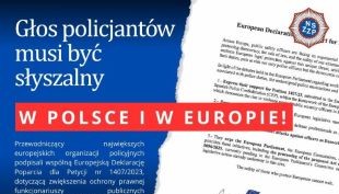 Wspólny europejski głos w sprawie ochrony policjantów. NSZZ Policjantów aktywnie współtworzy działania na forum europejskim